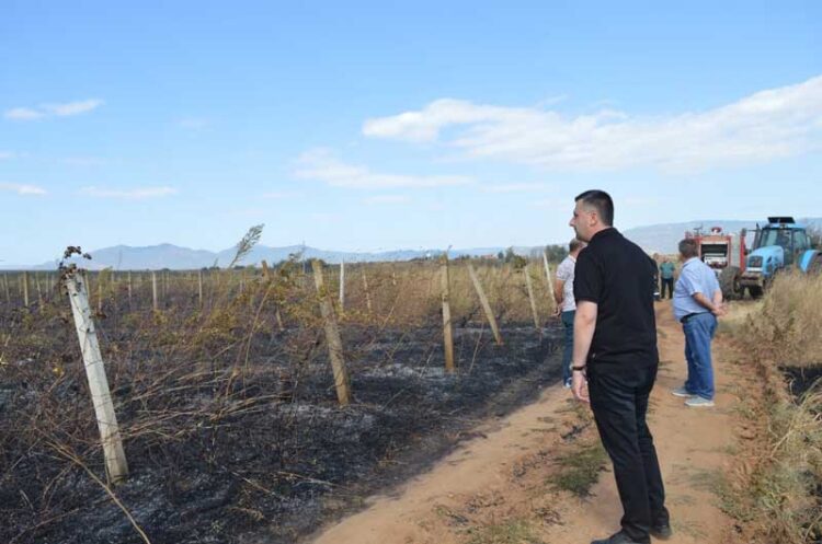 Пожар во месноста Врчви на потегот меѓу селата Ангелци, Градашорци и Едрениково
