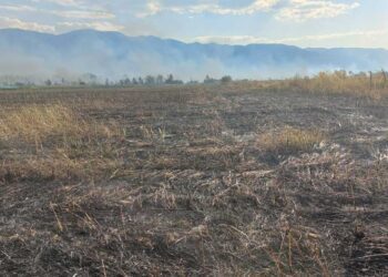 Голем пожар беснее низ струмичко во атарот на селата Зубово, Колешино и Сушица
