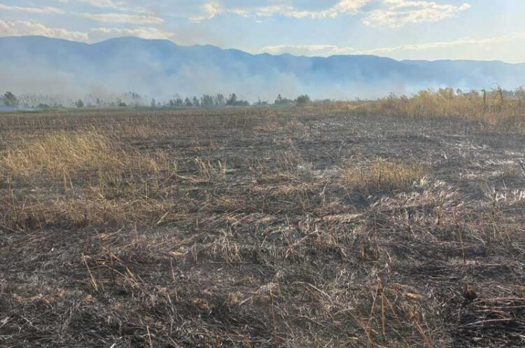 Голем пожар беснее низ струмичко во атарот на селата Зубово, Колешино и Сушица