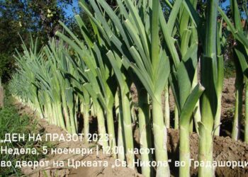 „ПРАЗИЈАДА 2023“ на 5-ти ноември во Градашорци