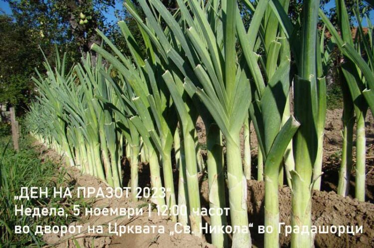 „ПРАЗИЈАДА 2023“ на 5-ти ноември во Градашорци