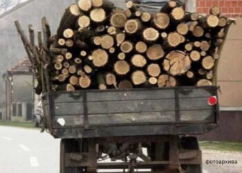 Полициски службеници фатиле жител на Банско со огревно дрво натоварени на трактор со приколка, нежигосани и без документи