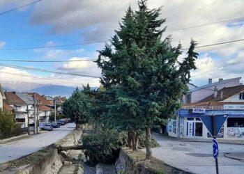 Силниот ветар во струмичко собори лимени покриви и дрвја