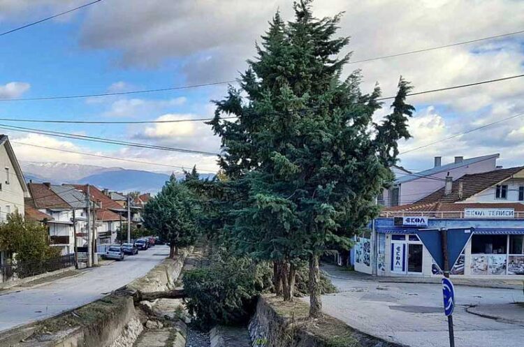 Силниот ветар во струмичко собори лимени покриви и дрвја