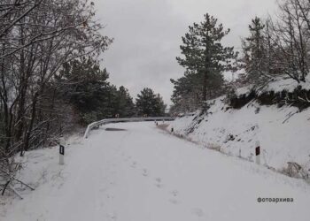 АМСМ: Забрането движење на тешки товарни возила на патниот правец Берово – Струмица