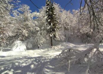 Патот Берово – Струмица од 10:30 часот е прооден за сите видови возила