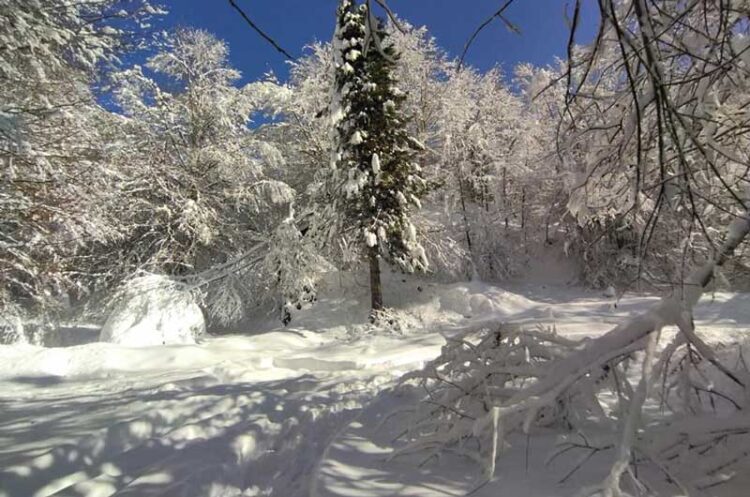 Патот Берово – Струмица од 10:30 часот е прооден за сите видови возила