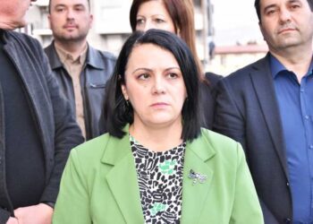 Дополнителниот заменик министер за финансии, Елена Петрова во посета на струмички компании