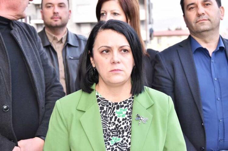 Дополнителниот заменик министер за финансии, Елена Петрова во посета на струмички компании