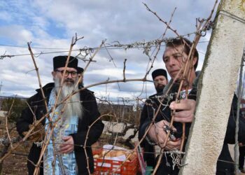 Струмичката компанија „ГРОЗД“ на своите лозови плантажи го одбележа празникот Свети Трифун