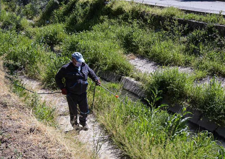 „Комуналец“ започна со прскање против коров и други растенија низ поројот „Крушевска Република“