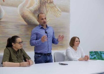 Го укинавме паралелниот увоз на инсулин, ќе продолжам да се залагам за современа терапија – Филипче со порака од Радовиш