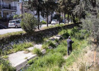 „Комуналец“ започна со прскање против коров и други растенија низ поројот „Крушевска Република“