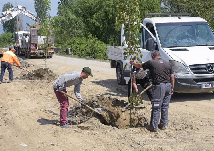 Шеесетина јаворови дрвја „Комуналец“ засади покрај каналот во Градско Балдовци