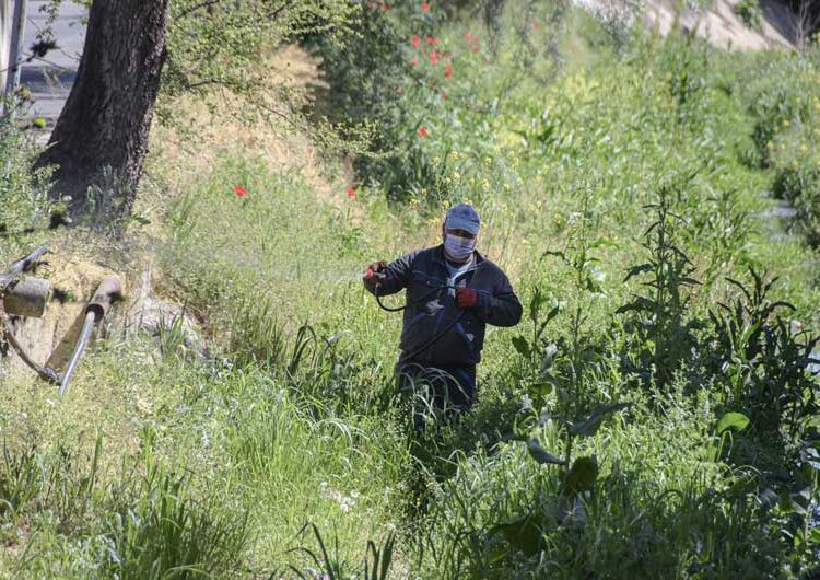 „Комуналец“ започна со прскање против коров и други растенија низ поројот „Крушевска Република“