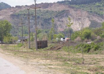 Шеесетина јаворови дрвја „Комуналец“ засади покрај каналот во Градско Балдовци