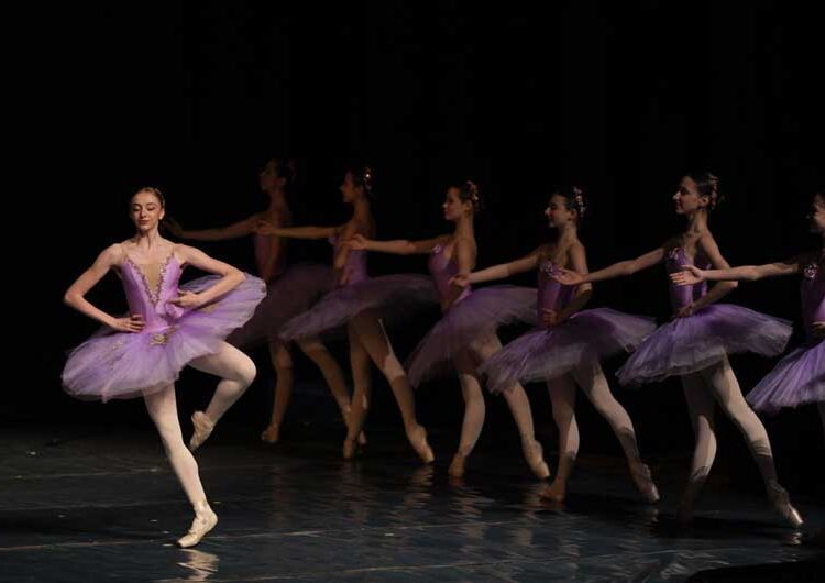 „Концерт на добрината“ – музичка убавина која ја организираше Фондацијата „Елеуса“