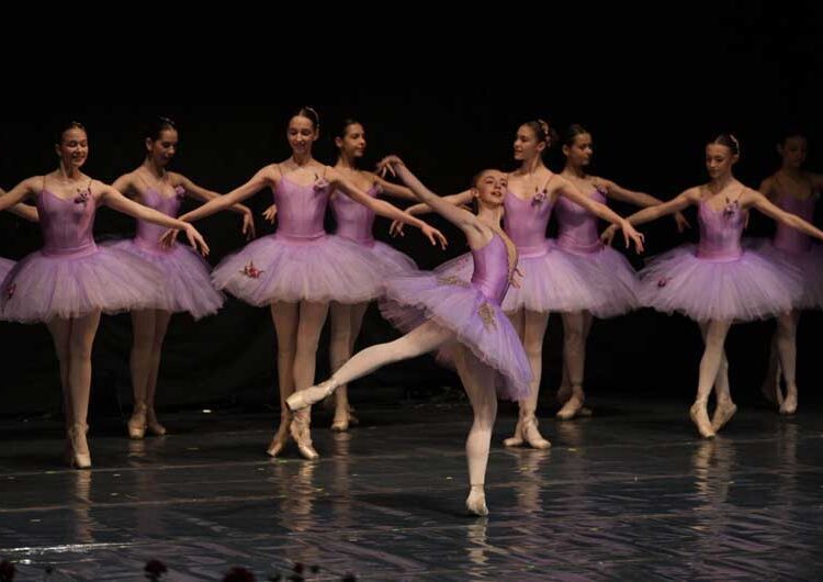 „Концерт на добрината“ – музичка убавина која ја организираше Фондацијата „Елеуса“