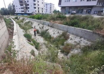 „Комуналец“ започна со прскање против коров на каналот на улица „Васил Главинов“