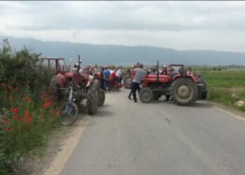 Земјоделците од Иловица и Штука блокираа пат поради откупната цена на младиот компир од само 15 денари