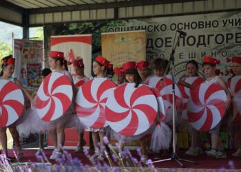 Повеќе од 500 деца беа дел од годинашната Манифестација „Средби под јаворите – Видое Подгорец“
