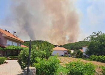 Пожарот кај Доброшинци се шири кон Сушево – интервенира хеликоптер на МВР