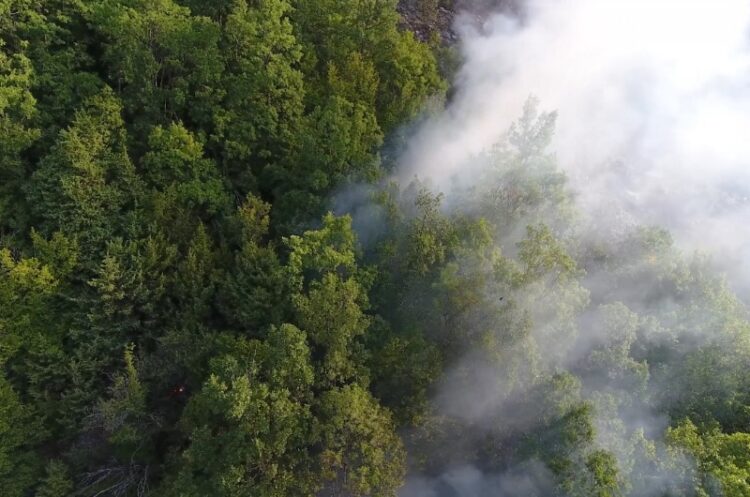 Шумски пожар кај Доброшинци, интервенираат пожарникарите
