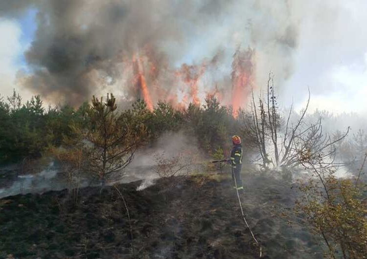 На планината Огражден – Крајниот северозападен крак на пожарот речиси целосно е ликвидиран и во моментов се работи на југозападниот крак