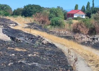 Апел на градоначалникот на општина Босилово, Ристо Манчев до жителите