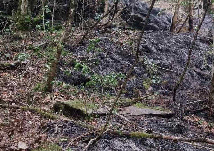 Запален мостот под Смоларскиот водопад – пожарот се проширил во околината