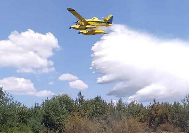 На планината Огражден – Крајниот северозападен крак на пожарот речиси целосно е ликвидиран и во моментов се работи на југозападниот крак