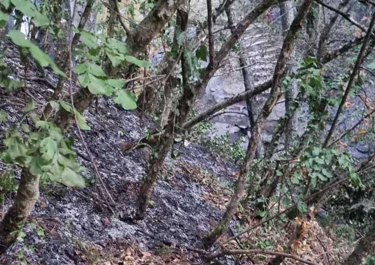 Запален мостот под Смоларскиот водопад – пожарот се проширил во околината