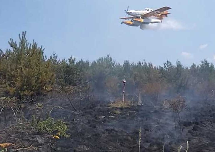 На планината Огражден – Крајниот северозападен крак на пожарот речиси целосно е ликвидиран и во моментов се работи на југозападниот крак