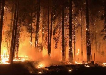 АПЕЛ од Пожарникарите на Струмица: Да не се пали оган на отворен простор!