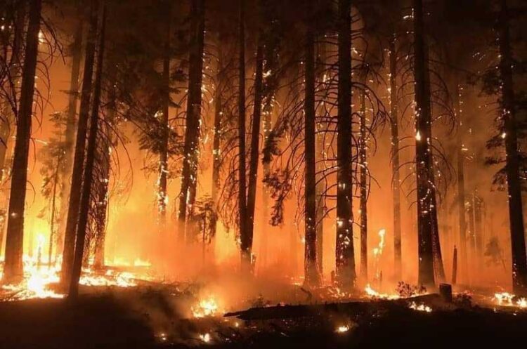 АПЕЛ од Пожарникарите на Струмица: Да не се пали оган на отворен простор!