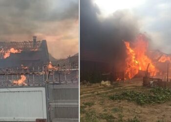 Голем пожар во Ново Село – горат неколку објекти