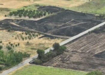 ЦУК: Пожарите над Бадилен и кај Вељуса се изгаснати, но пожарникари и полицајци го контролираат теренот