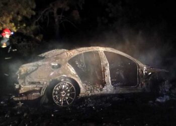 Гореше автомобил кај „двата пата“, пожарот се проширил и кон ридот