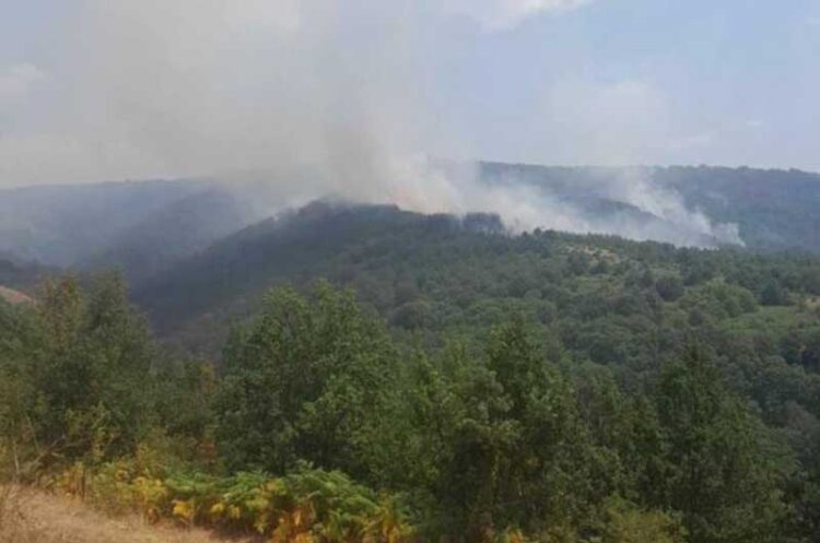 Пожарот над селото Бадилен сé уште активен, се очекува „Ер трактори“ да се вклучат во гаснењето