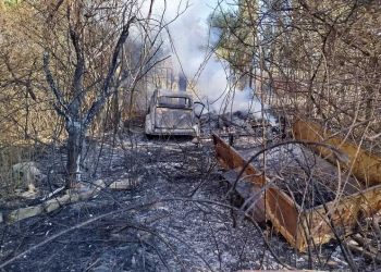 Дури седум интервенции имаа струмичките пожарникари денеска до попладневните часови