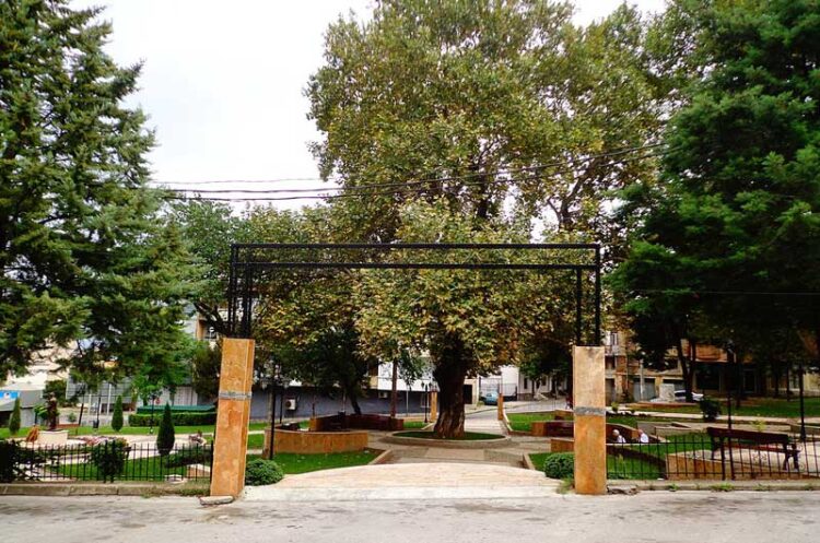 Малиот градски парк во Струмица доби име: „Петте струмички студенти“