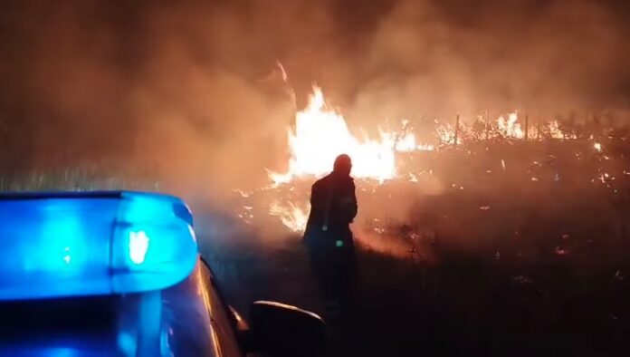 Пожарот кај месноста „Слобода“ ставен под контрола