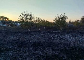 Пожар кај Индустриска зона Василево – спречено да биде зафатен погон за производство на био дизел