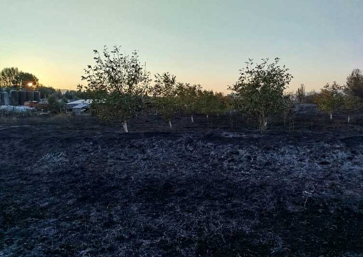 Пожар кај Индустриска зона Василево – спречено да биде зафатен погон за производство на био дизел