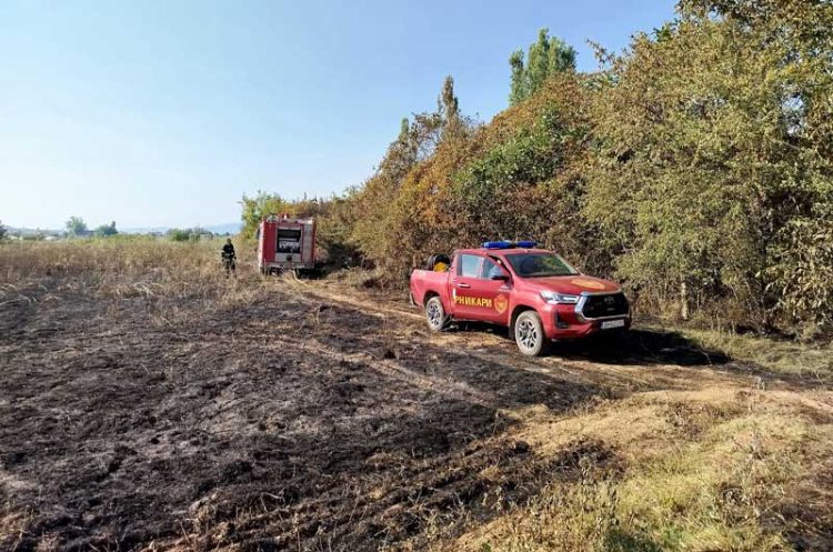 Вчера имало пожар во нискостеблеста шума во „Кошутница“ атар на Ново Село – опожарени и три сандаци со пчели