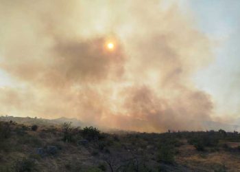 Избувнал пожар во селото Дабиле – била зафатена нискостеблеста шума и сува вегетација