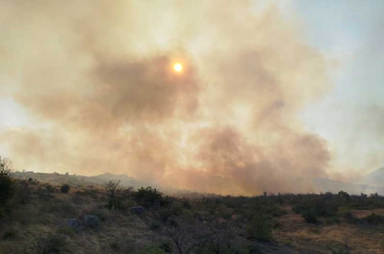 Избувнал пожар во селото Дабиле – била зафатена нискостеблеста шума и сува вегетација