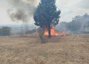 Голем пожар над селото Фурка кај Дојран – струмичките пожарникари на помош