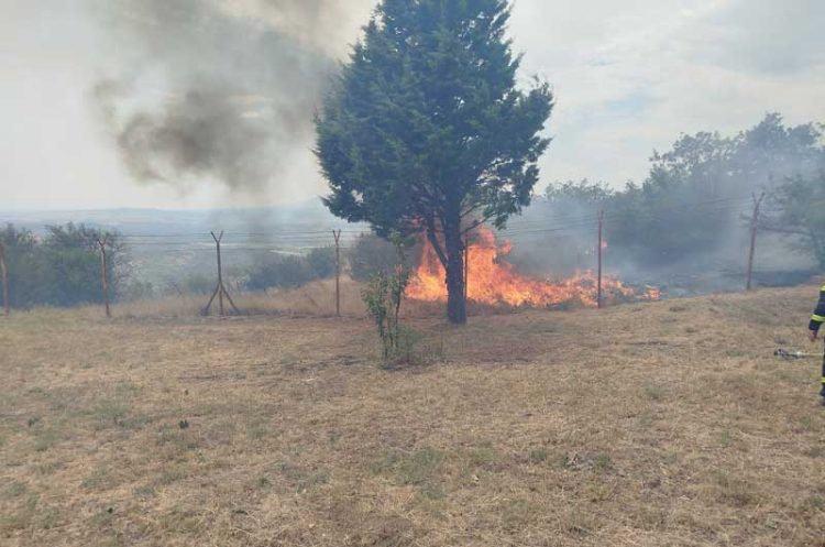Голем пожар над селото Фурка кај Дојран – струмичките пожарникари на помош
