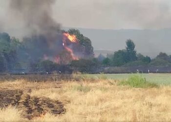 Голем пожар во струмичко – се шири во повеќе правци